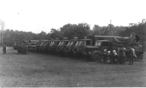 mn4787_6.jpg